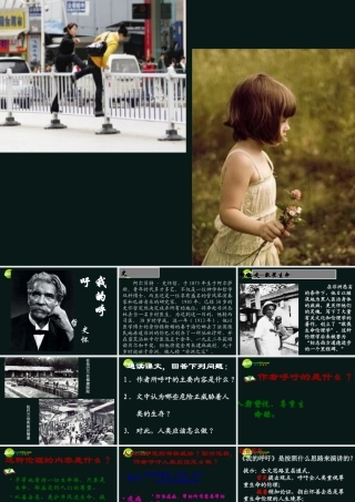 高中语文 第三单元之(我的呼吁)课件 人教版第一册 课件