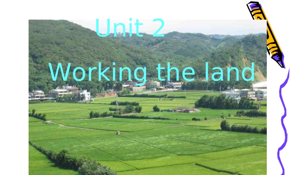 高中英语：Unit2 working the land-reading课件(新人教版必修4) 课件