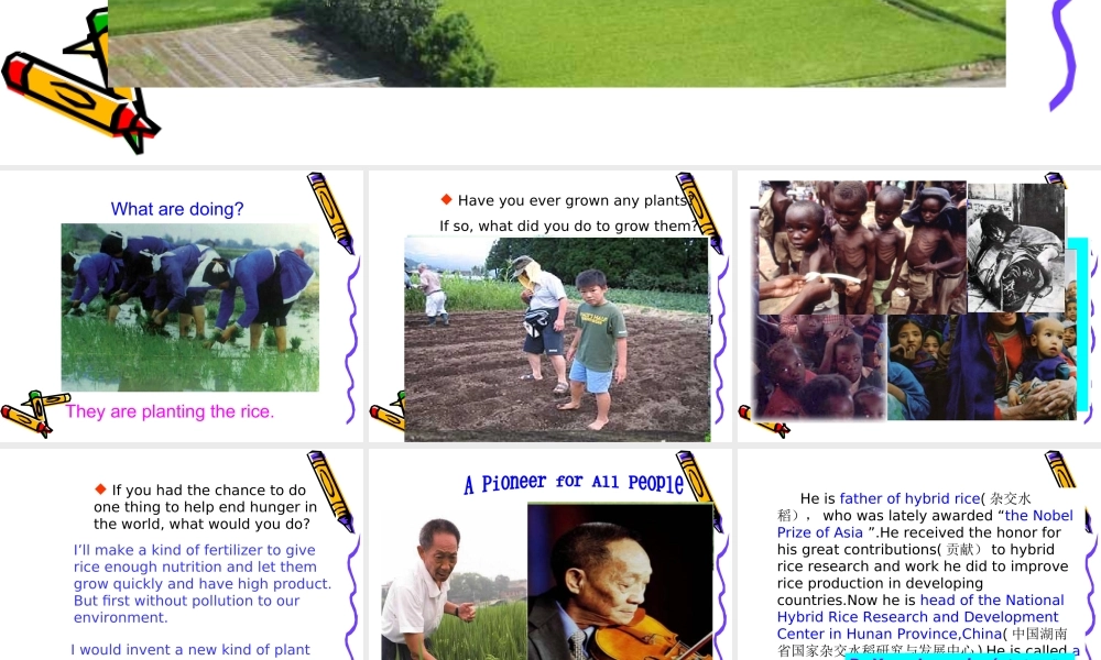 高中英语：Unit2 working the land-reading课件(新人教版必修4) 课件