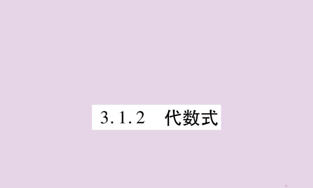 秋七年级数学上册 第3章 整式的加减 3.1 列代数式 3.1.2 代数式课件 (新版)华东师大版 课件