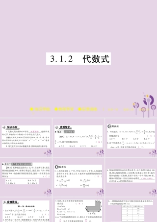 秋七年级数学上册 第3章 整式的加减 3.1 列代数式 3.1.2 代数式课件 (新版)华东师大版 课件