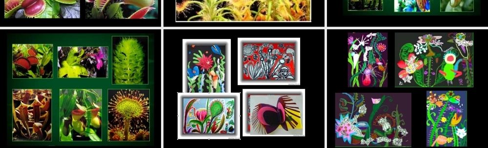 人美版小学三年级美术下册《吃虫草》教学课件-