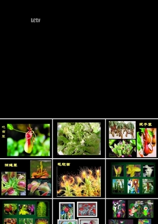 人美版小学三年级美术下册《吃虫草》教学课件-