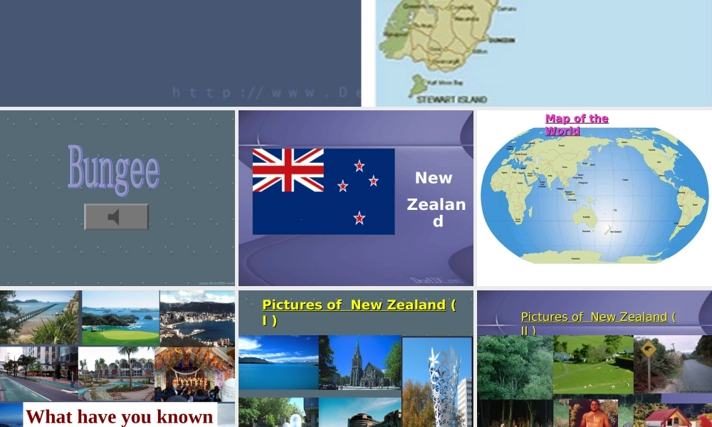 高一英语Unit18 Reading New Zealand课件