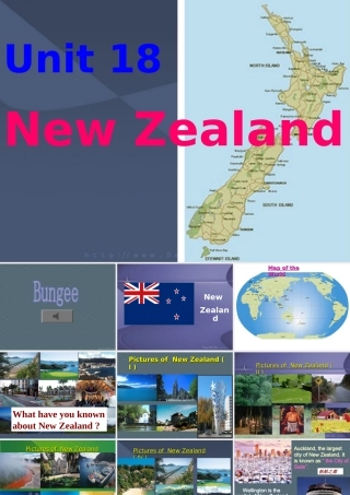 高一英语Unit18 Reading New Zealand课件