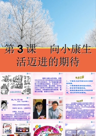 高中语文 第3课(向小康生活迈进的期待)课件 粤教版必修5 课件