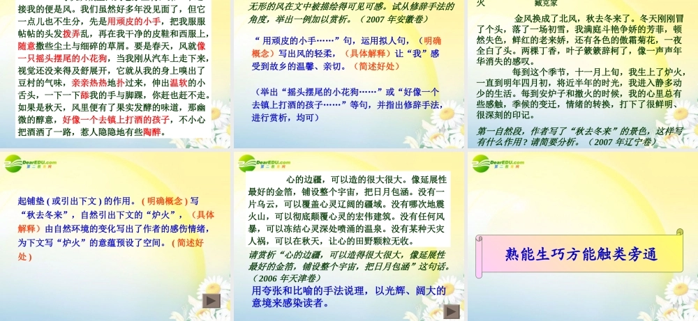 高考语文 现代文阅读表达技巧鉴赏复习课件 新人教版 课件