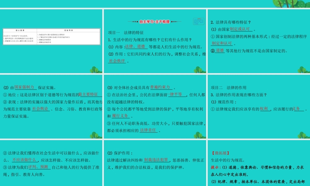 版七年级道德与法治下册 第四单元 走进法治天地 第九课 法律在我们身边 第2框法律保障生活习题课件 新人教版 课件
