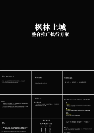 武汉光谷某高层项目推广策略执行案-枫林上城整合推广执行方案