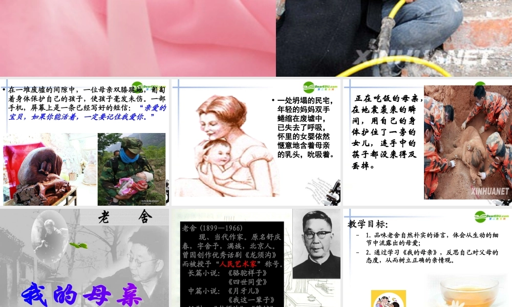 高中语文 第一单元第1课(我的母亲)课件(2) 粤教版必修2 课件