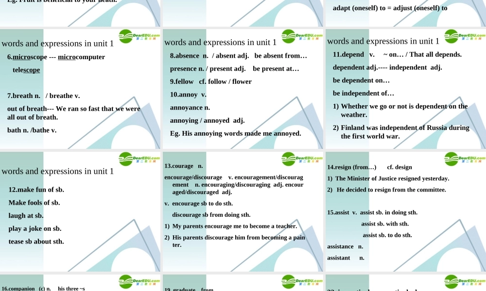 高中英语 17(Unit 1　words and expressions )课件 新人教版选修7 课件