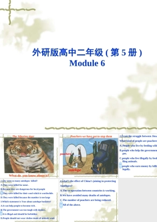 高中英语Module 6(Animals in Danger)课件(外研必修模块5) 课件