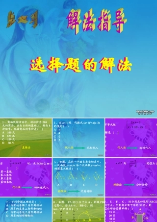 选择题解法 初三数学综合复习课件[整理十一套]人教版