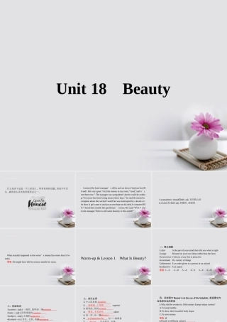 英语 Unit 18 Beauty Warm up and Lesson 1 What Is Beauty课件 北师大版选修6 课件