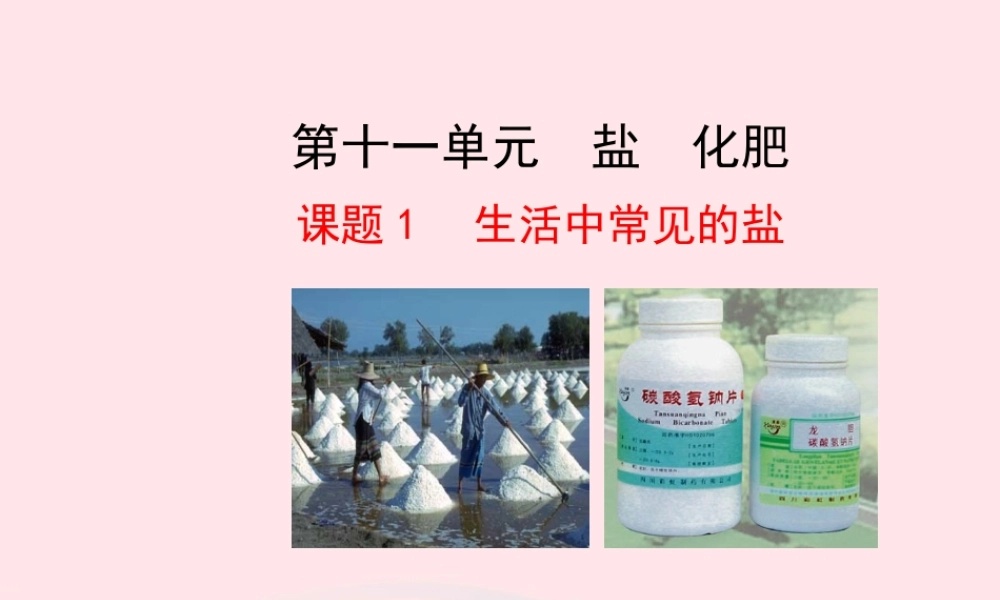 课题1 生活中常见的盐课件 九年级化学下册 第十一单元 盐 化肥 课题1 生活中常见的盐课件+素材 新人教版-2