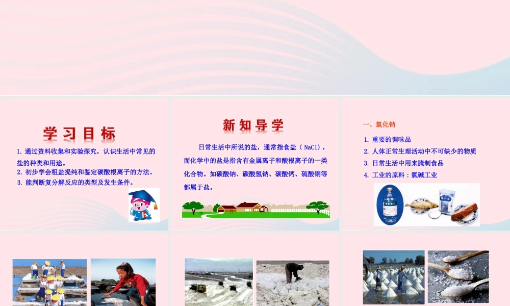课题1 生活中常见的盐课件 九年级化学下册 第十一单元 盐 化肥 课题1 生活中常见的盐课件+素材 新人教版-2
