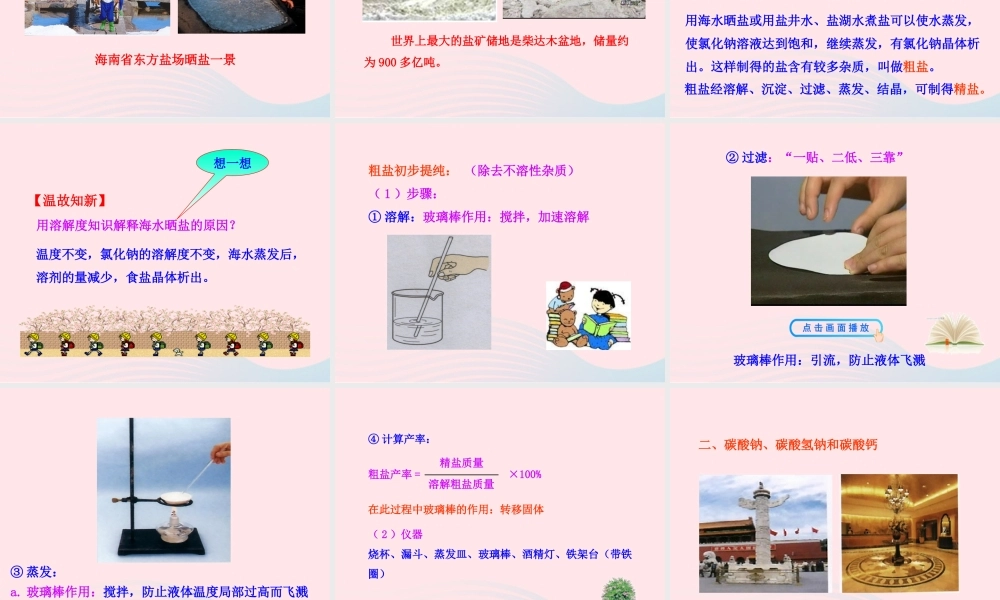 课题1 生活中常见的盐课件 九年级化学下册 第十一单元 盐 化肥 课题1 生活中常见的盐课件+素材 新人教版-2