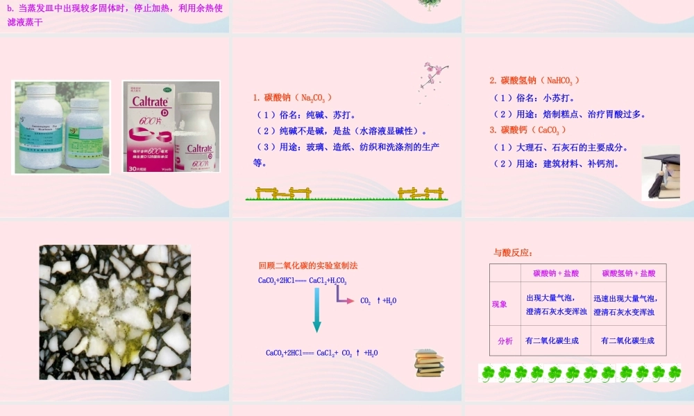 课题1 生活中常见的盐课件 九年级化学下册 第十一单元 盐 化肥 课题1 生活中常见的盐课件+素材 新人教版-2