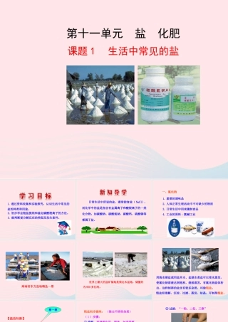 课题1 生活中常见的盐课件 九年级化学下册 第十一单元 盐 化肥 课题1 生活中常见的盐课件+素材 新人教版-2