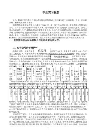 塑料五金制品毕业实习报告