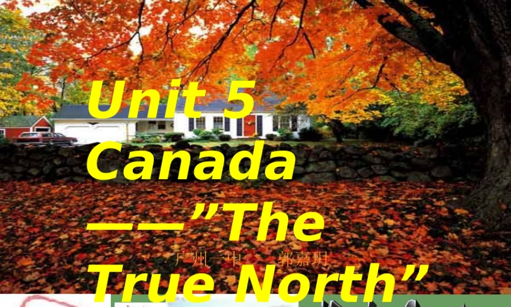 高中英语 第五单元 Canada— The True North课件 新人教版必修3 课件