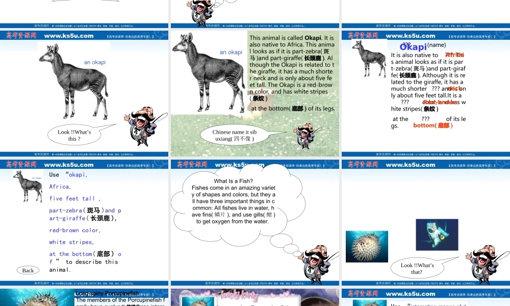 高三英语学生课堂呈现课件课件