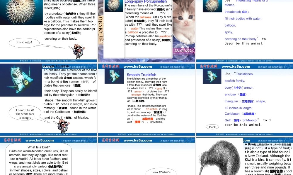 高三英语学生课堂呈现课件课件