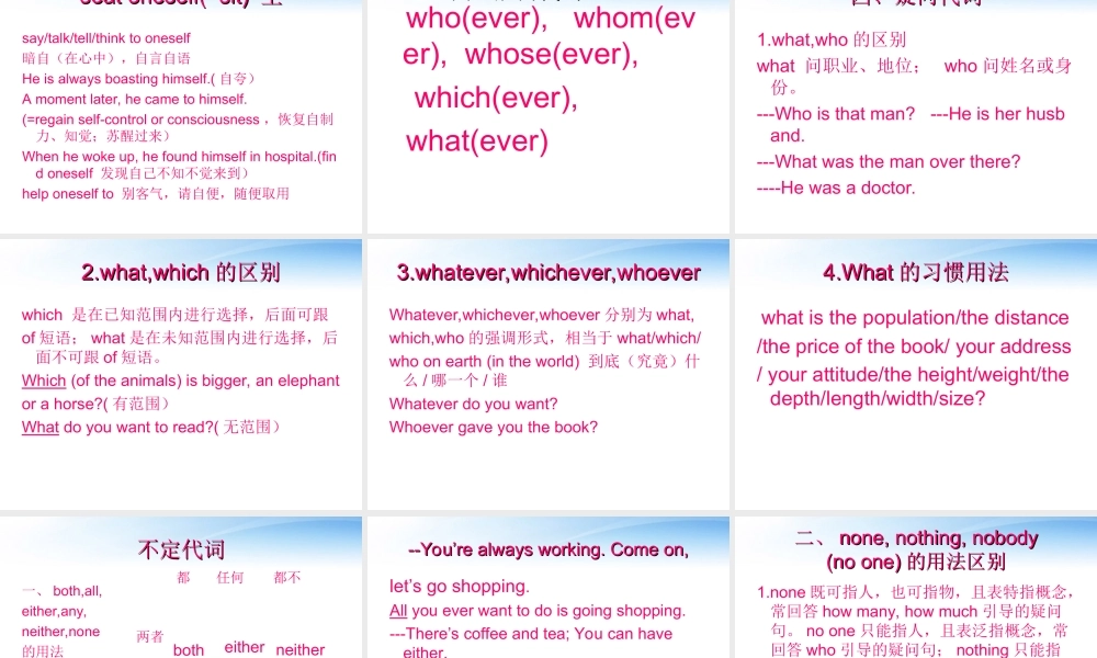 高中英语 专题二代词课件