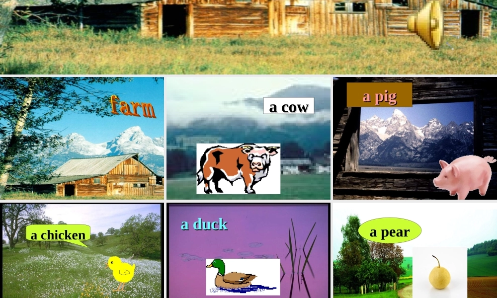 Unit7onthefarm课件