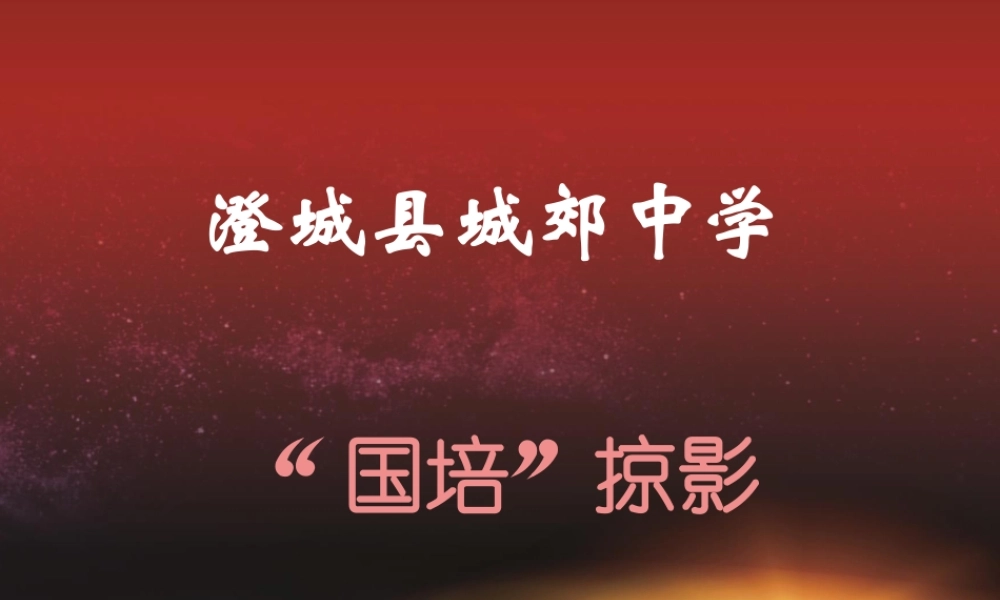 城郊中学国培学习掠影