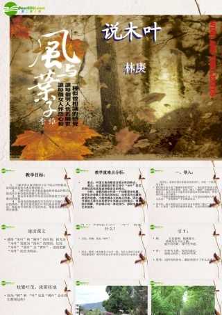 高中语文(说木叶)精品课件 新人教版必修5 课件