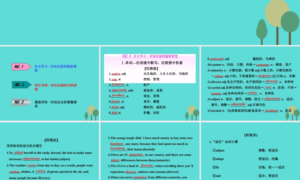 版高考英语大一轮复习 Module 5 Ethnic Culture课件 外研版选修7 课件