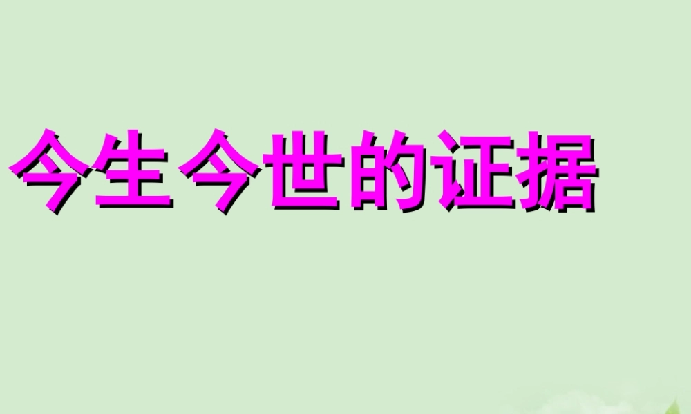 高中语文 今生今世的证据课件 苏教版必修1 课件