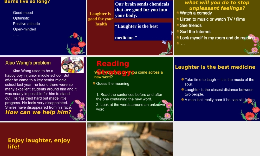 高二英语模块6 Unit1 Reading课件 苏教版 课件