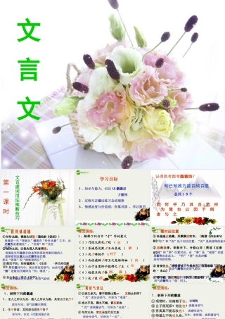 高考语文 文言文 虚词-实词-句式课件 新人教版 课件