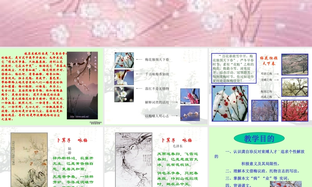 高二语文病梅馆记课件 新课标 人教版 课件