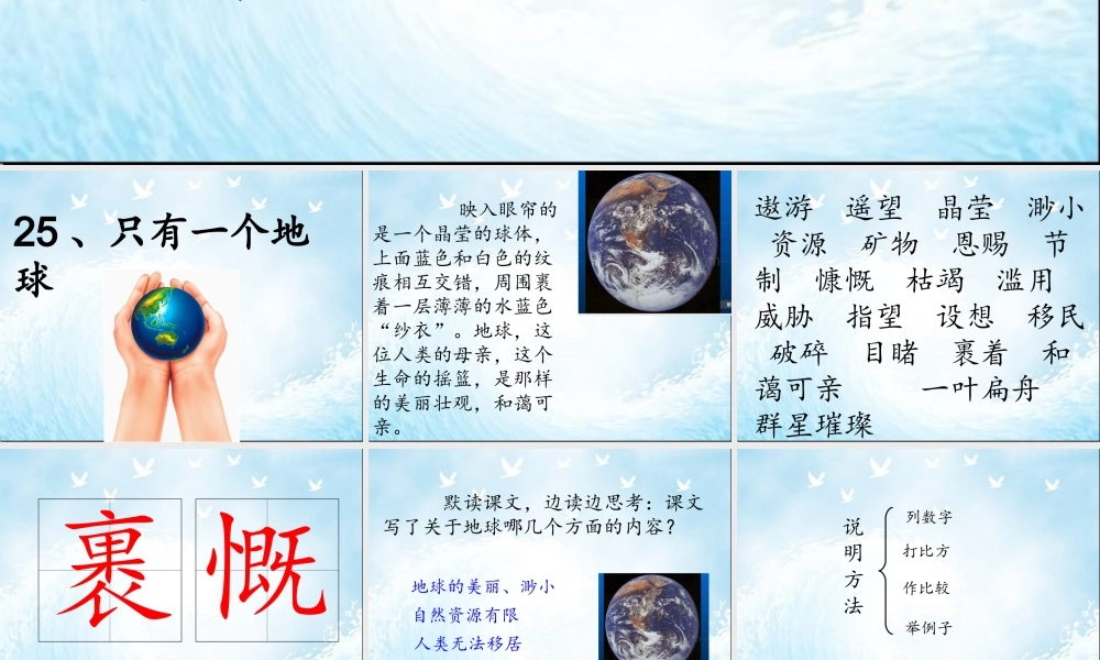 只有一个地球2稿