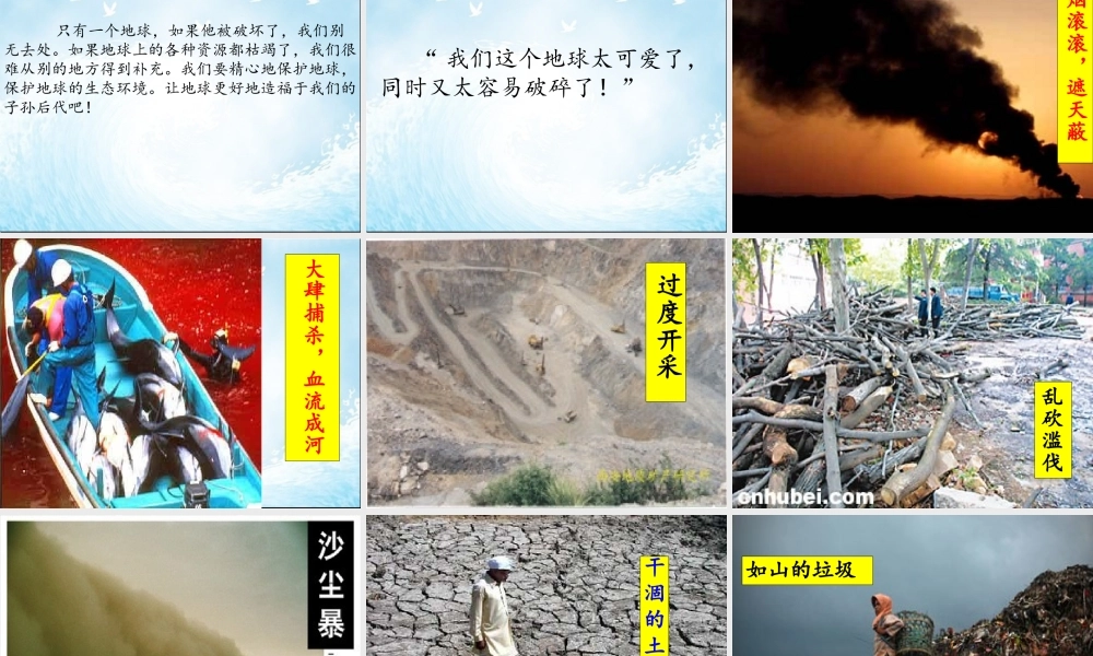 只有一个地球2稿