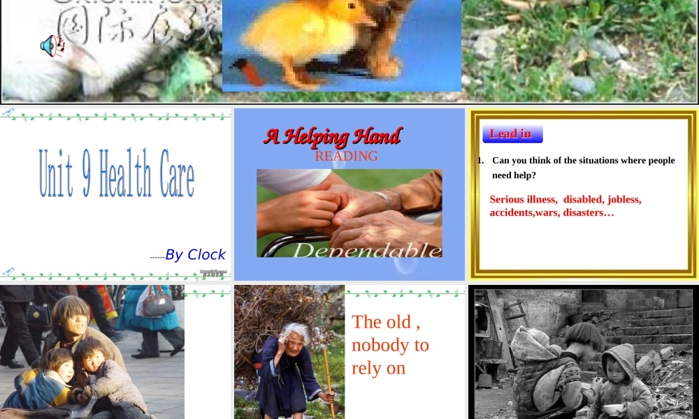 浙江省高三英语Unit9 Reading 新课标 人教版 课件