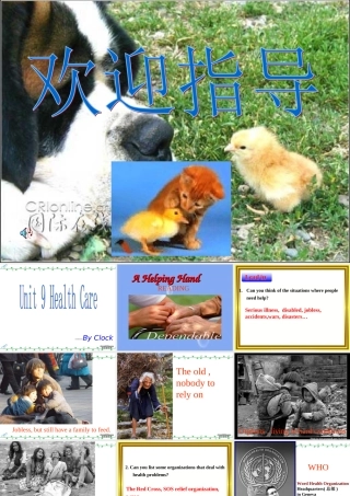 浙江省高三英语Unit9 Reading 新课标 人教版 课件