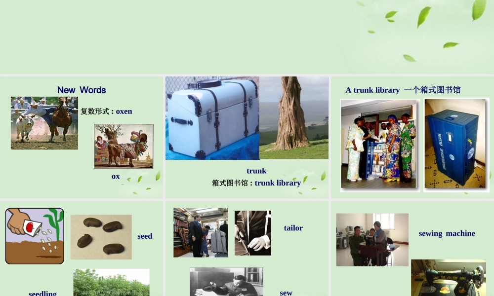 高中英语(unit4 Using Language)教学课件 新人教版选修7 课件