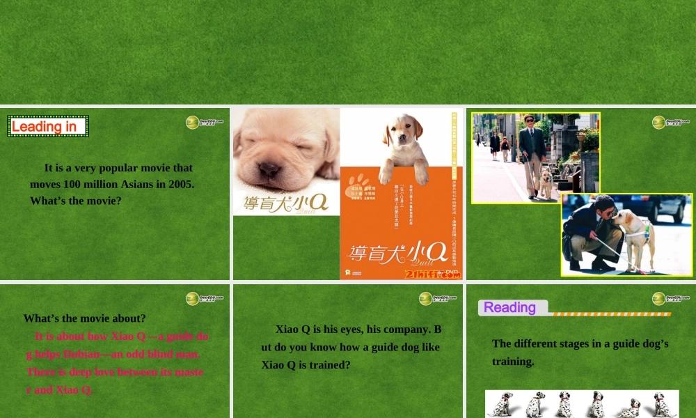 高中英语 Reading and listening课件