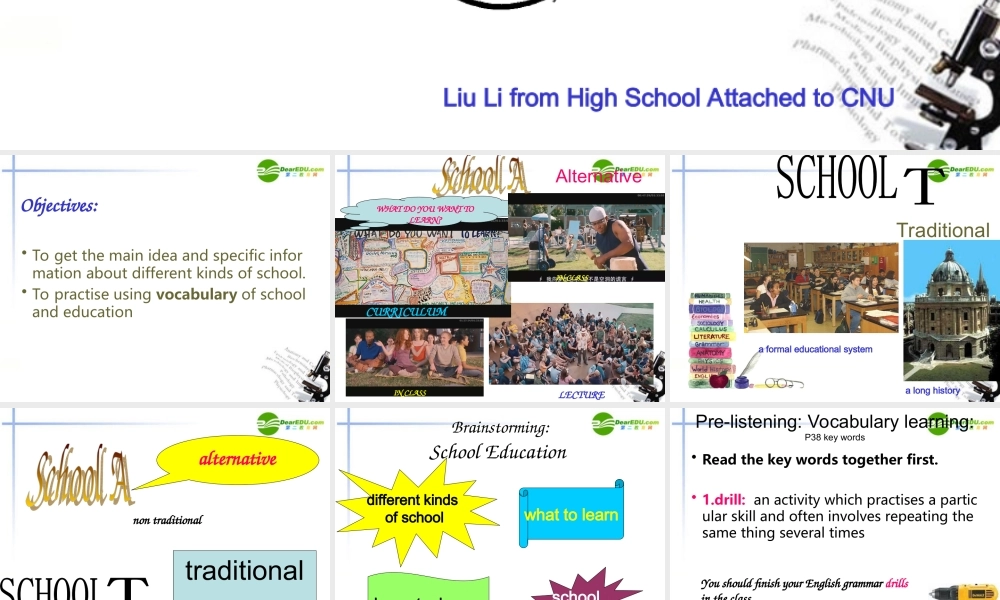 高中英语 Unit 15 Lesson 2 Different Schools课件 北师大版选修5 课件