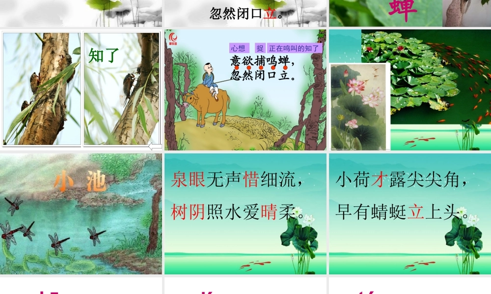 13、-古诗两首-502118