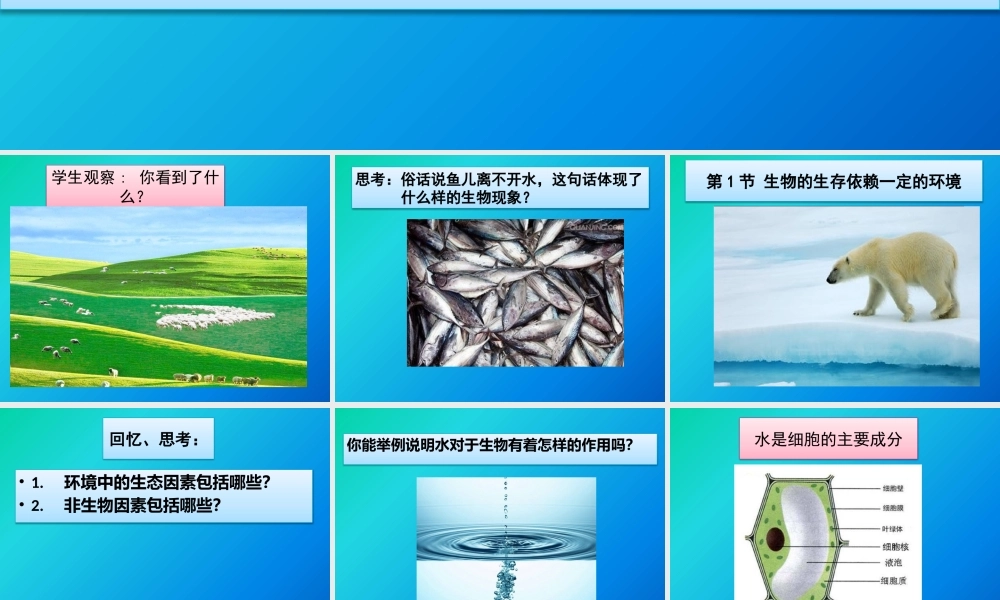 第1节生物的生存依赖一定的环境-(2)