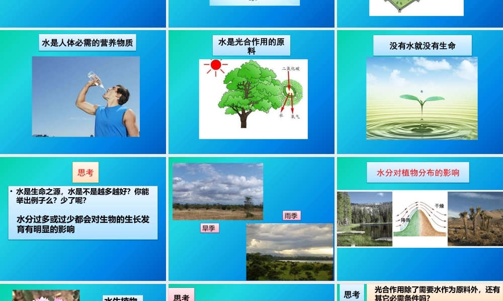 第1节生物的生存依赖一定的环境-(2)