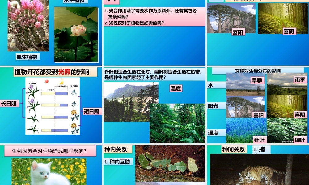 第1节生物的生存依赖一定的环境-(2)