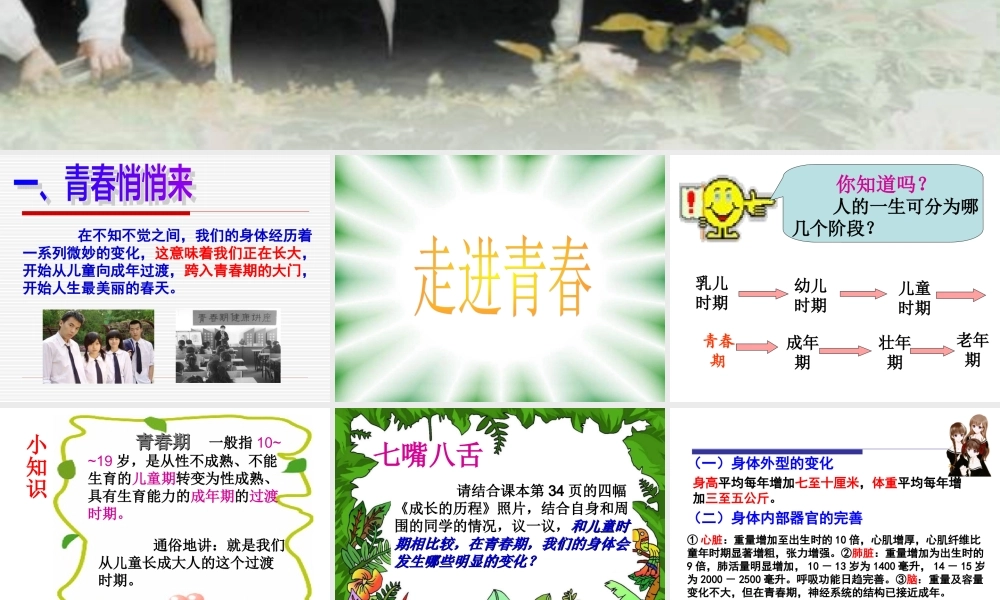 走进青春 七年级政治上第二单元第四课 走进青春课件人教版
