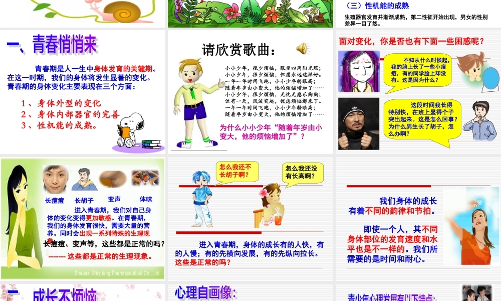 走进青春 七年级政治上第二单元第四课 走进青春课件人教版