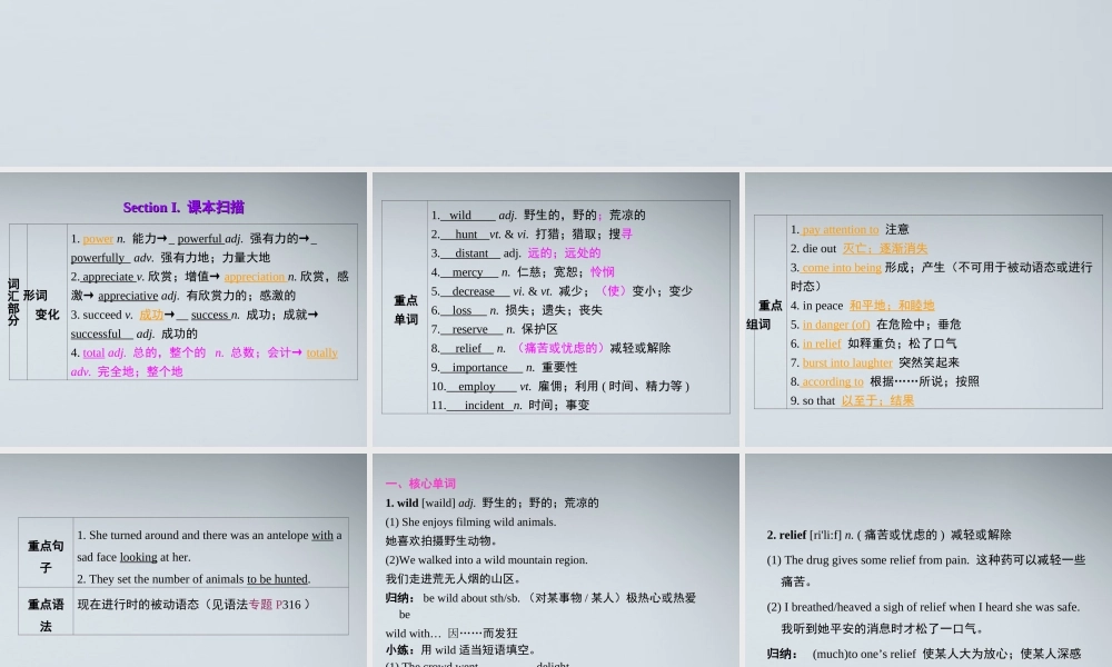 高考英语第一轮复习 第一部分课文 Module 2 Unit 4 Wildlife protection课件